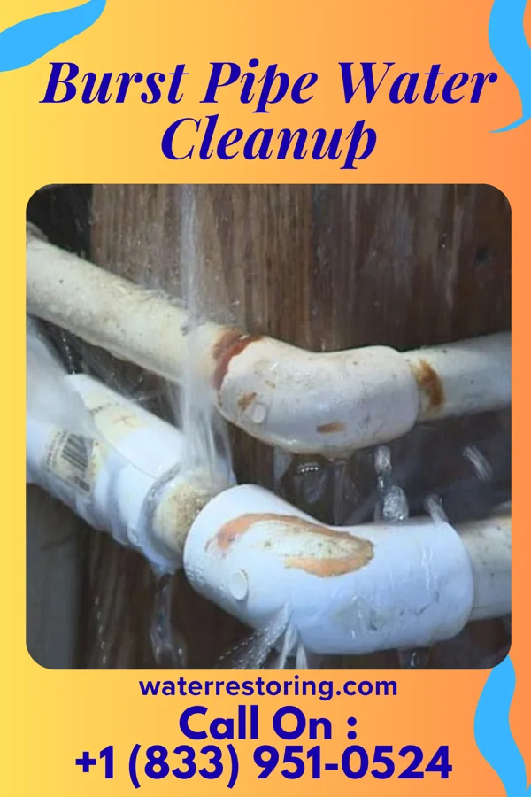 Burst Pipe Water Cleanup in Flint, MI