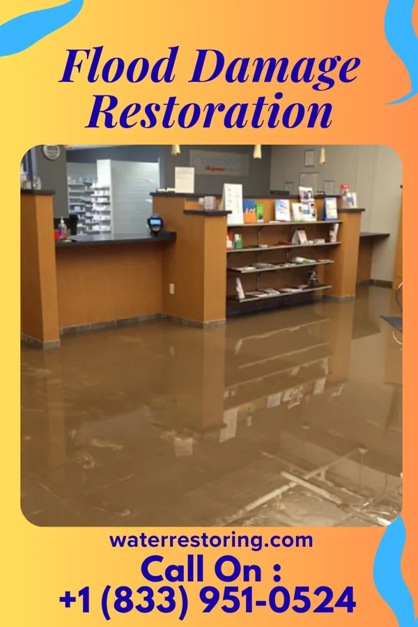Flood Damage Restoration in Flint, MI