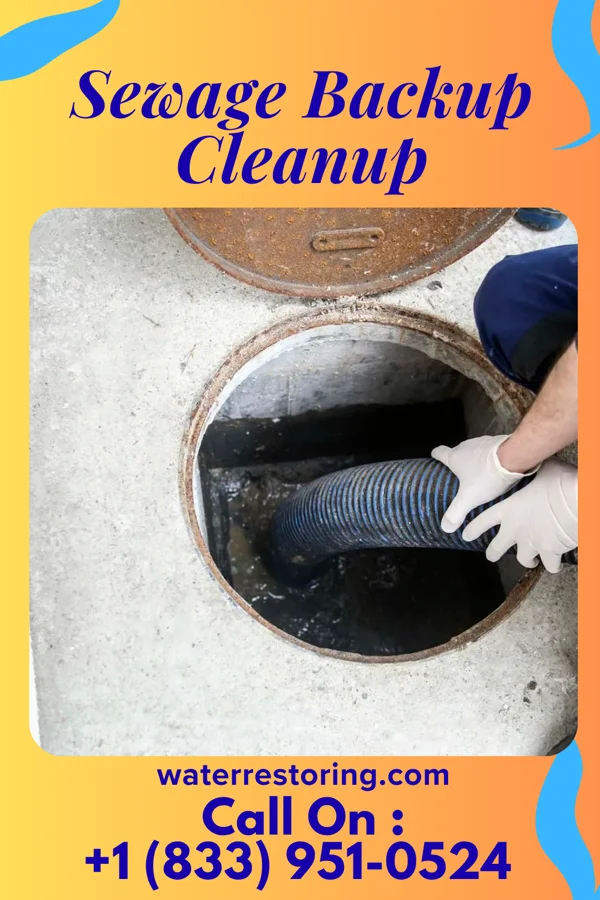 Sewage Backup Cleanup in Flint, MI