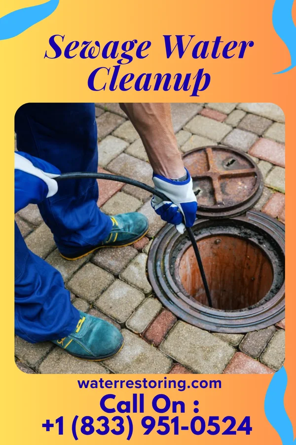 Sewage Water Cleanup in Flint, MI
